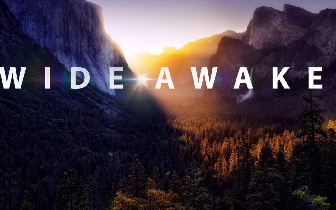 Wide-Awake