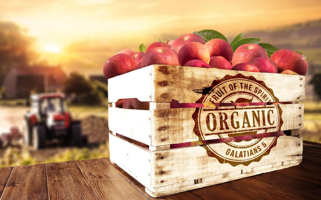 Organic-Final
